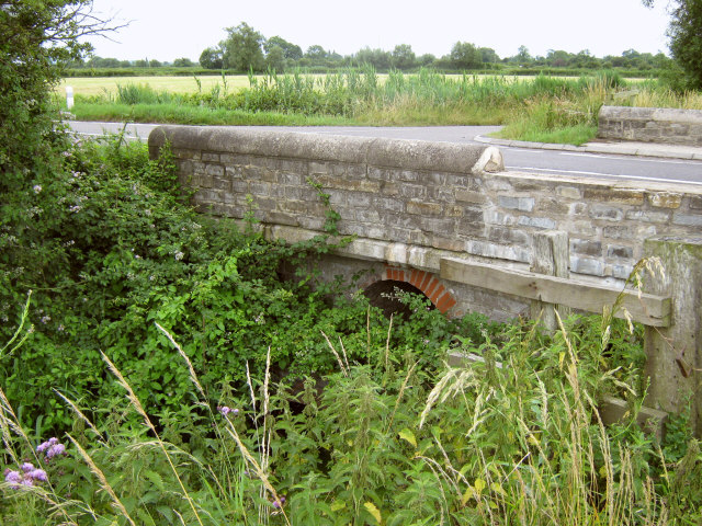 File:Overgrown bridge on the A372 - Geograph - 1391439.jpg