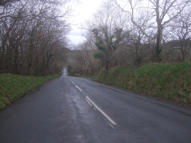File:A25 road near Ballachrink Farm - Geograph - 2743751.jpg