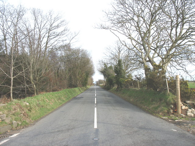 File:The B4354 eastwards of Frochas - Geograph - 677363.jpg