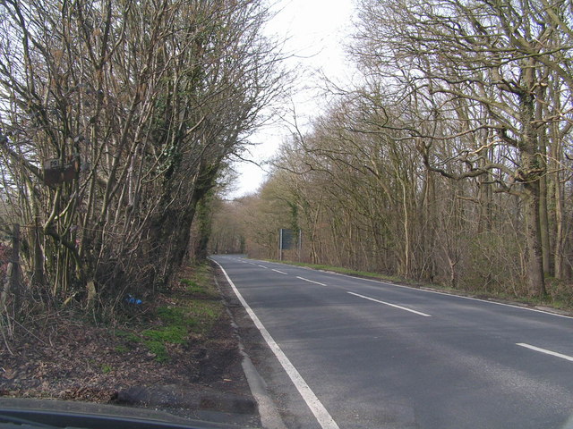File:The Road to Edenbridge (B2026) - Geograph - 135877.jpg