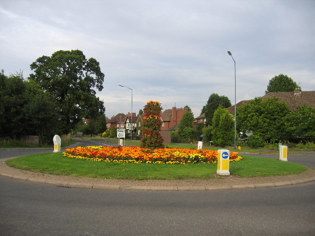 File:Leicester Lane roundabout in bloom in July.jpg