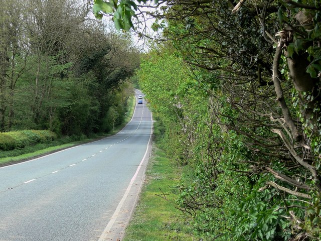 File:Looking north along the A447 Hinckley Road.jpg