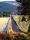 The B976 South Deeside road west of Ballater - Geograph - 646577.jpg