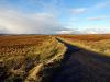 On the Pentland road from Stornoway to Carloway - Geograph - 4763087.jpg