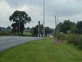 Traffic lights on the A530 - Geograph - 532084.jpg