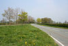 Bend in Ellesmere Road (A495).jpg