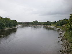 River Ribble - Geograph - 1474816.jpg