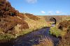 Fairy Bridge - Geograph - 414670.jpg