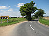 B1149 to Holt - Geograph - 512480.jpg