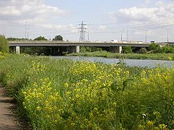 A45 Bridge over the Nene River - Geograph - 178890.jpg