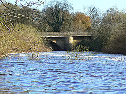 The Borough Bridge - Geograph - 1580729.jpg