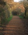 National Cycle Route 4 and some autumn... (C) eswales - Geograph - 2706649.jpg