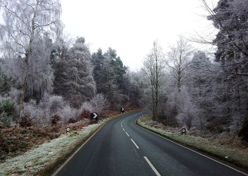 File:Frosty Cannock Chase.jpg