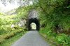 Tunnel at Gortacreenteen - Geograph - 3543746.jpg