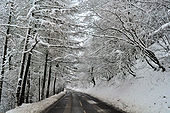 Snowy road between Aberbeeg and Cwm - Geograph - 1662283.jpg