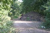 The Old Spetchley Road - Geograph - 557601.jpg