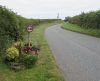 Flowery 30 sign in Freshwater East - Geograph - 4580839.jpg