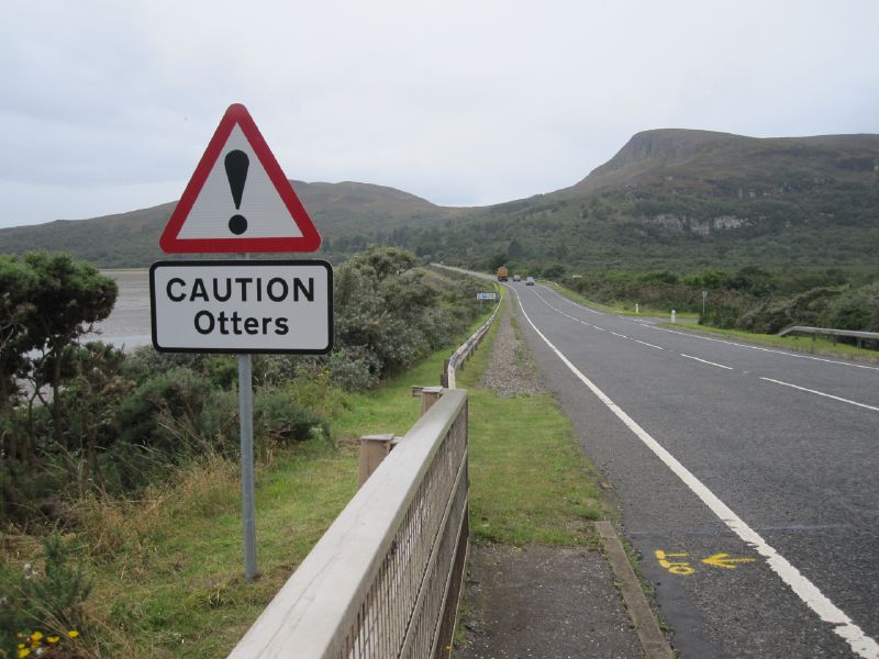 File:A9 The Mound N - Otters.jpg