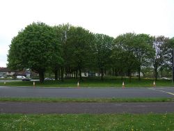 Roundabout on the A38 - Geograph - 3457756.jpg