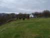 A9 Berriedale Braes Improvement - February 2019 line of new road field of cows.jpg