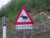 Norwegian Elk sign - Coppermine - 6739.jpg