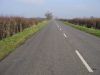 Road to Grafham - Geograph - 1194055.jpg