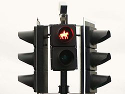 Equine traffic signal, Tattenham Corner - Geograph - 923643.jpg