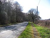 B1198 road looking towards Shincliffe - Geograph - 745763.jpg