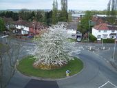 Roundabout At Newbolds - Geograph - 2355277.jpg