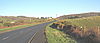 The A499 north of the Fach Caravan Park - Geograph - 644275.jpg
