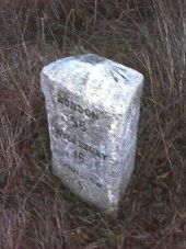 Benchmarked milestone beside London Road... (C) Roger Templeman - Geograph - 2266044.jpg