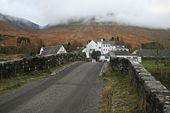 Br-orchy2.jpg