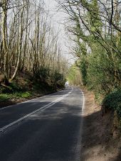 The Fleet, Fittleworth Common - Geograph - 1239542.jpg