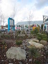 Garden at Exeter motorway services area - Geograph - 1054762.jpg