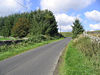 The B711 road near Curling Pond Plantation - Geograph - 235800.jpg