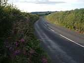 A3122 approaching Collaton Cross - Geograph - 210341.jpg