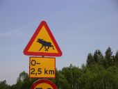 Elk Warning Sign, E4, sweden - Coppermine - 6720.jpg