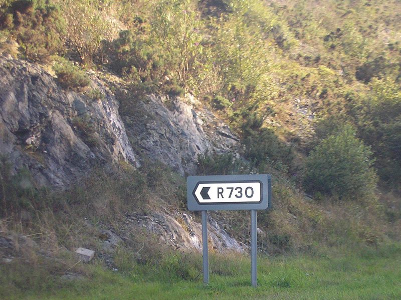 File:N11 southbound nr. Wexford Town, which the R730 takes you to. - Coppermine - 19673.JPG