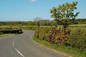 Along The Road - Geograph - 1303750.jpg