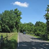 On Clayhithe Road in June - Geograph - 4514137.jpg