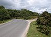 B3417 on Crownhill Down - Geograph - 1457524.jpg