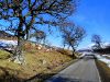 The A897 at Badiepullacher, Strath of... (C) sylvia duckworth - Geograph - 1750378.jpg
