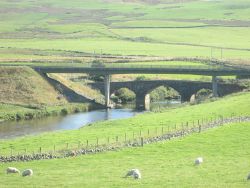 Rich pastures near the River Clyde - Geograph - 3677267.jpg