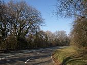 Old Haldon Hill - Geograph - 1218951.jpg