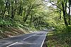 Main Road along the Looe Valley - Geograph - 270593.jpg