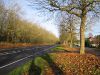 Water End- Swanland Road (C) Nigel Cox - Geograph - 311648.jpg