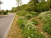 Winterbourne Steepleton- the South Winterborne and the B3159 - Geograph - 1354245.jpg