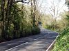A3078 winding through the woods near Freewater - Geograph - 412784.jpg