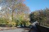 Under the elms, Nelson Street, Aberdeen (C) Bill Harrison - Geograph - 4261168.jpg