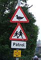 School crossing patrol warning